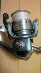 �����Υ�xt2000