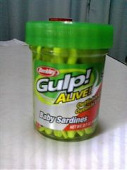 Gulp!