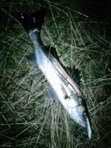 ������55