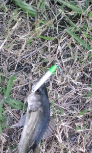 ������45