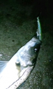 ������80