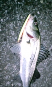 ������110