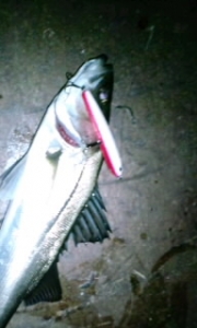 ������80