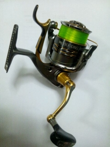 BB-X�ƥ��˥���2500DXG