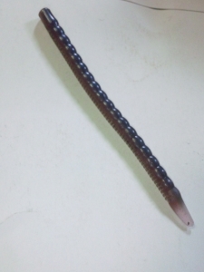 ���󥯡�6�����