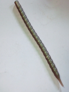 ���󥯡�6�����