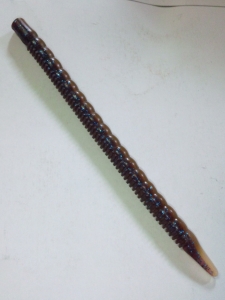 ���󥯡�6�����