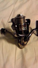 �����ǥ��ʥ�