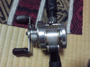 ���륫�å����󥯥�����201DC