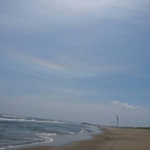 ��ӥ���3012h