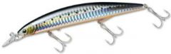 SHORELINE SHINER CURRENTMASTER 13F-G