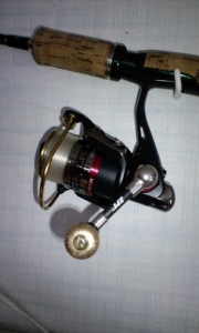 �������� 2004