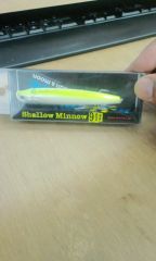 ShaLllowMinnow90s