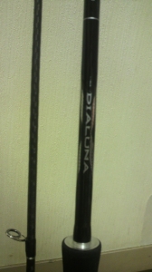�ǥ����롼��S806ML