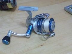 ��ӥ���2500