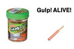 Gulp! �٥ӡ������ǥ�����