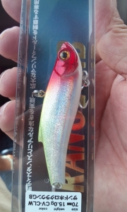��󥸥Х���70ES