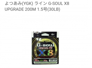 G-SOUL  X8    UPGRADE  1.5��200��