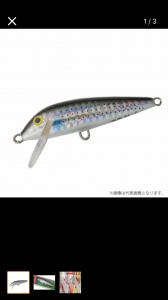 ������ȥ����󥢥Х� �ۥ�����।�ʥå�