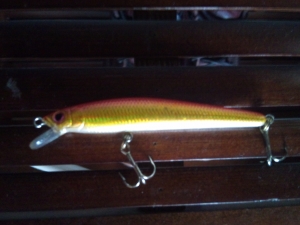 lewis creek minnow 70