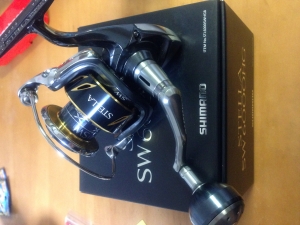 ���ƥ�SW 6000HG