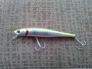 SEABASS HUNTER��S