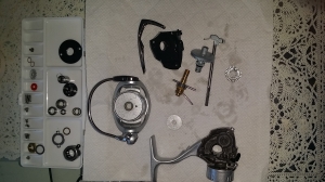 14�������顼2004