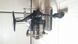 ������2004��������