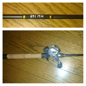 �Х����åɤ��äƤߤ���C691MH