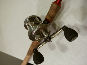 05���륫�å����󥯥�����250DC