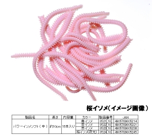 �ѥ������(��)��������