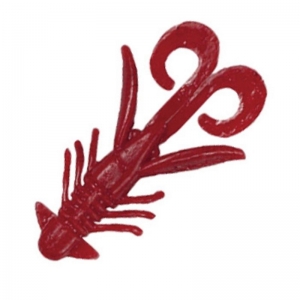 ����ȥ���������������ۥå�