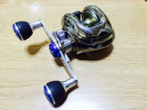 ���󥿥쥹VR2