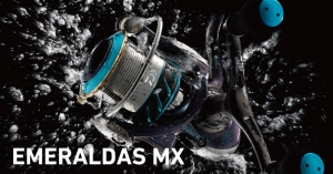 ���������MX 2508