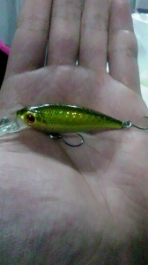 KF SHAD 50F
