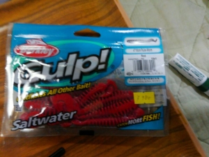 ����ס�4/10  Pulse  Worm  ��