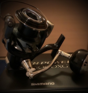 21�ĥ���ѥSW5000XG