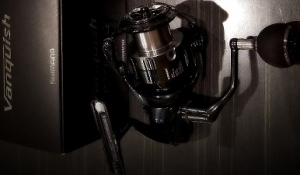 19�����󥭥å���C5000XG