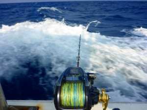 �ե������ޥ�����6000