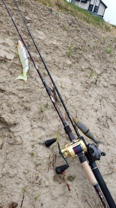 ����ۥ꥾���83&���󥯥�����401