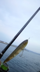 ����������S1000MH/R