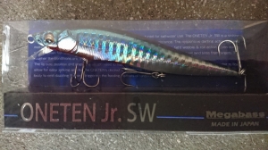 ONE TEN jr. SW ��ŷ�����