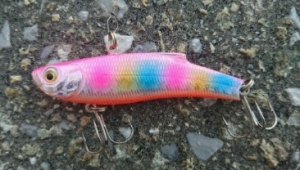 ��󥸥Х��ֹ����ˤ�������ڥХ���