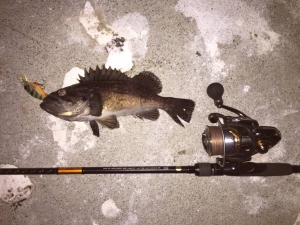 ����ơ��� 2508PE