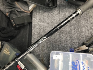 �ǥ����롼��XR 1006m