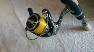 14�����ƥ顡C2000HGS��