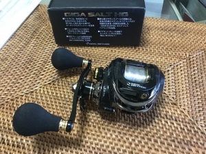 GIGA SALT HG������