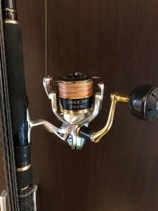 18���ȥ�ǥ��å�SW5000XG