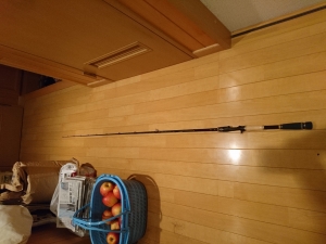 ���ɥ�󥹥���WMCC-66M MGS