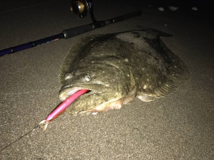 �ӡ��������������ե��륯���